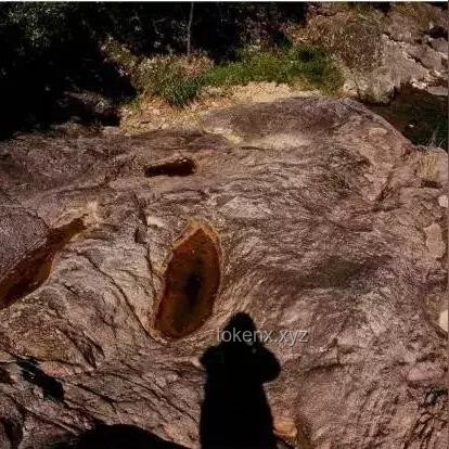 央视曝光：揭开保护区“疯狂垂钓”背后的真相